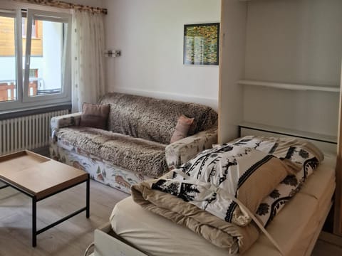 Familienfreundliche Studio 42m2 mit gratis Parking und WiFI nahe Sportaren und Torrentbahn Apartment in Canton of Valais