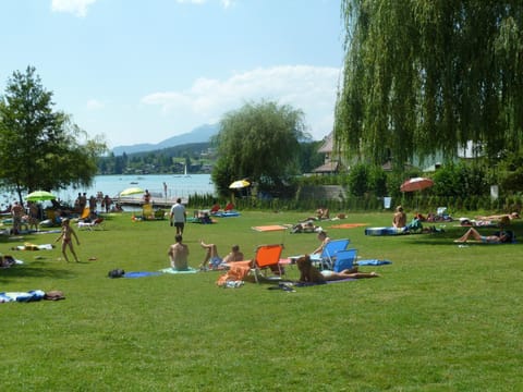 Day, Garden, group of guests