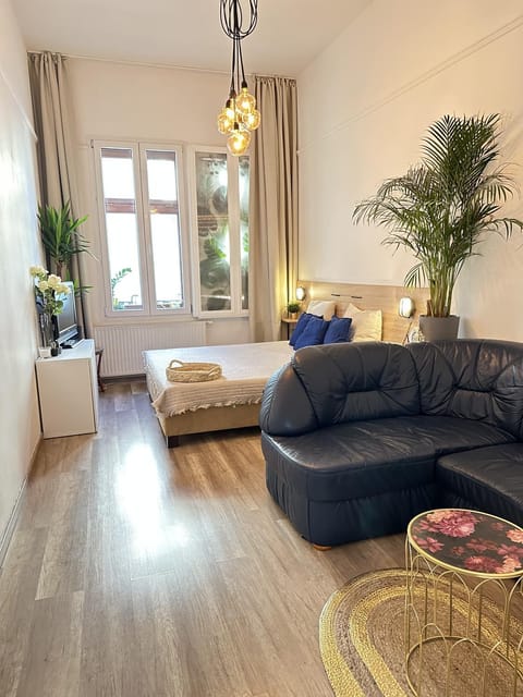 Bed, TV and multimedia, Living room, Photo of the whole room, Seating area, Bedroom, air conditioner
