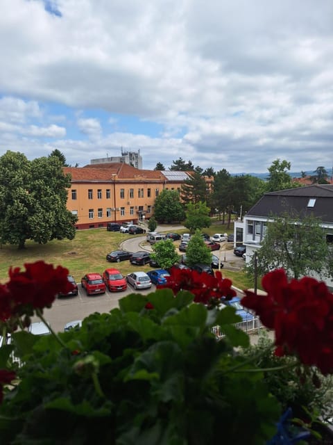 View (from property/room), View (from property/room), City view