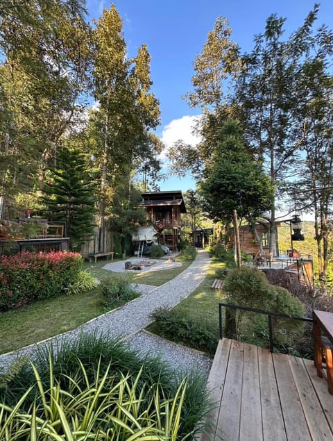 Natural landscape, Garden, On site, Garden view