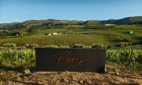 Property logo or sign, Natural landscape, Mountain view