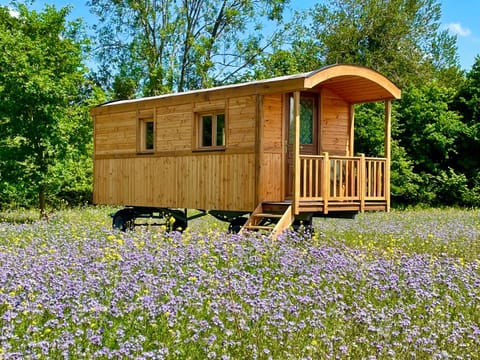 Property building, Garden, Garden view