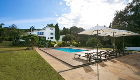 Property building, Living room, Swimming pool