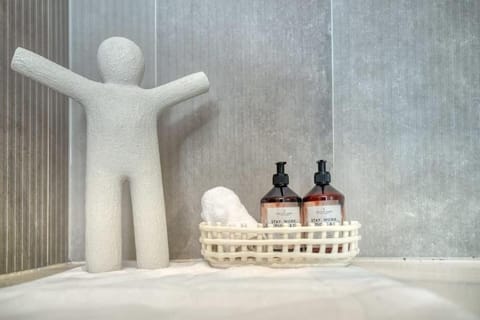 Magical renovated home in Antwerp Apartment in Antwerp