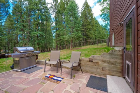 Woodland Park Chalet with Deck, Grill and Mtn Views! House in Woodland Park