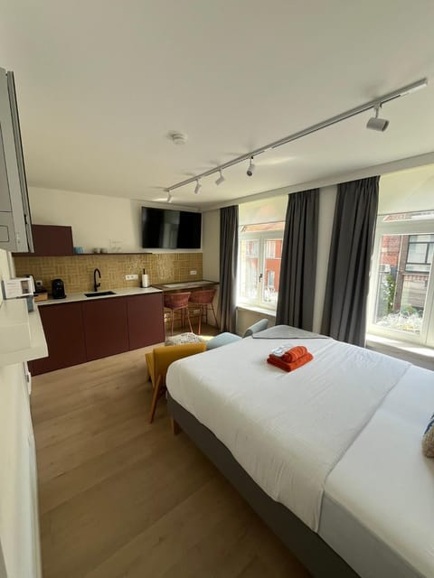 Bed, TV and multimedia, Kitchen or kitchenette, Photo of the whole room, Bedroom, towels