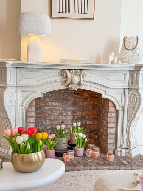 Mansion RL with Unique Decoration Apartment in Antwerp