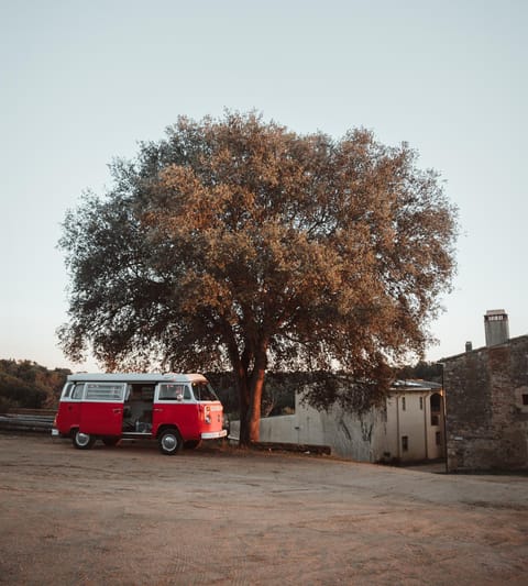 Natural landscape, Sunrise