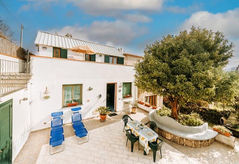 Garden, Garden view, sunbed