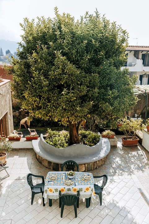 Garden, Balcony/Terrace