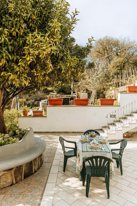 Spring, Garden, Garden view