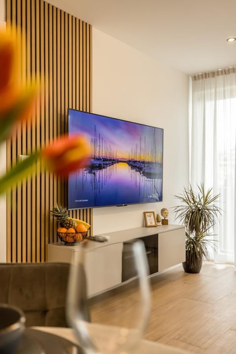 TV and multimedia