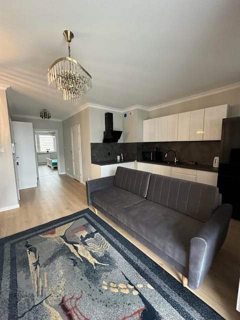 Kitchen or kitchenette, Living room, Seating area