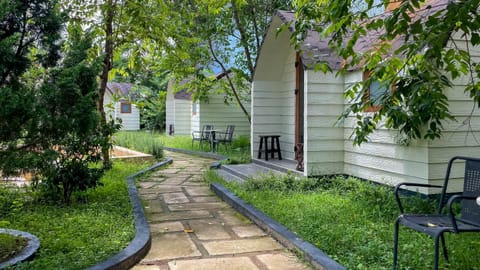 Day, Natural landscape, Garden, Garden view