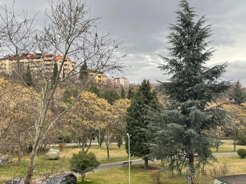 Natural landscape, Garden, Garden view