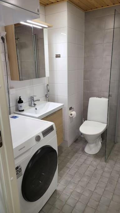 Spacious loft apartment with a lake view Apartment in Finland