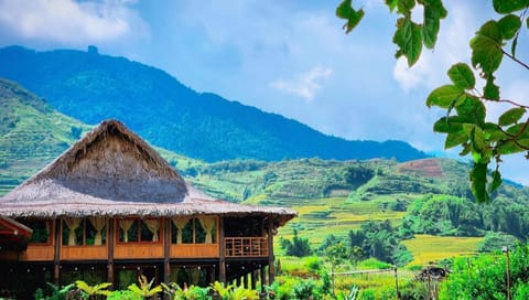 Restaurant/places to eat, Day, Natural landscape, Garden, Mountain view, Inner courtyard view