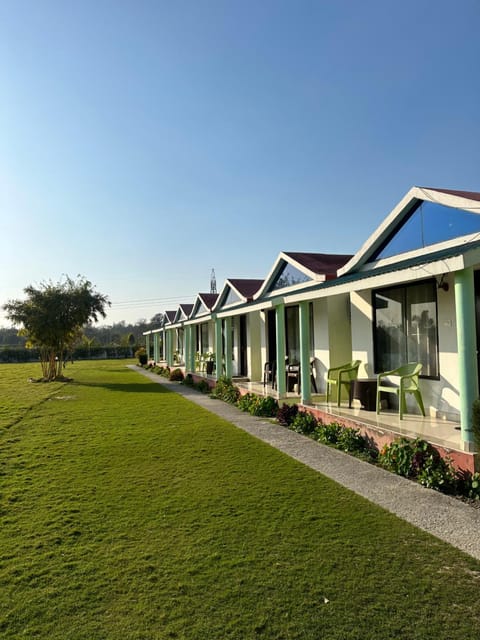 Property building, Garden, Garden view