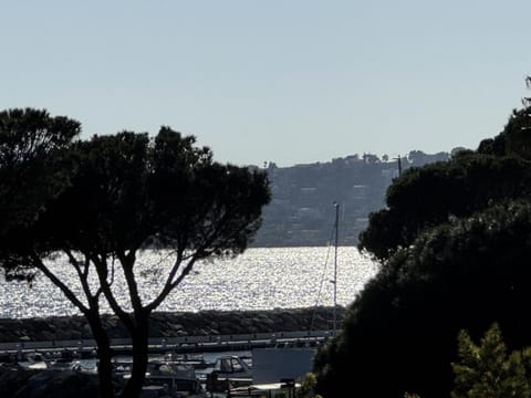 Lake view