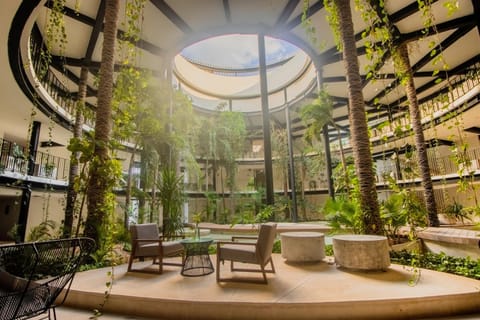 Patio, Day, Garden