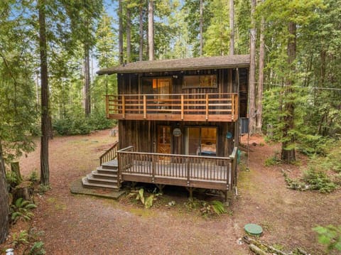 Grandma's Cabin by the Sea Cabin in Gualala