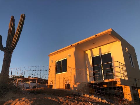 Property building, Day