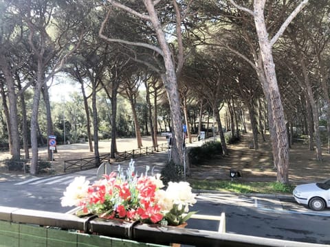 Spring, Day, Natural landscape