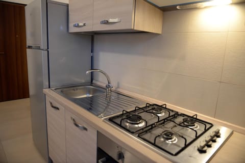 Kitchen or kitchenette, minibar, stove