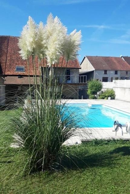 Garden, Pool view, Swimming pool, Swimming pool
