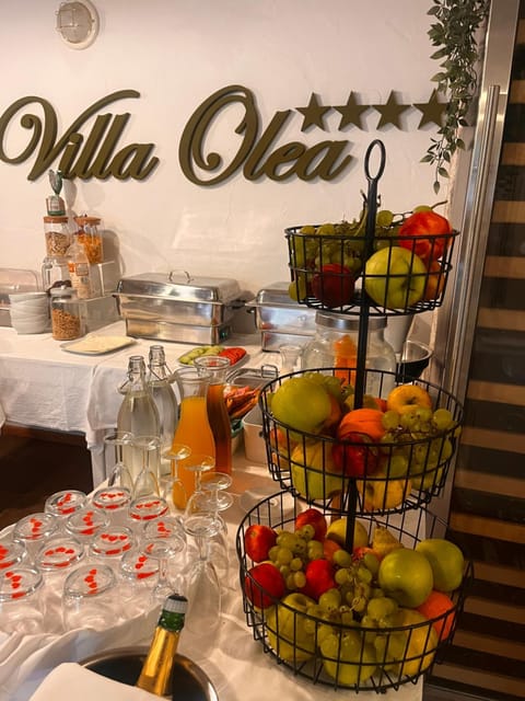 Villa Olea Hotel in Novalja