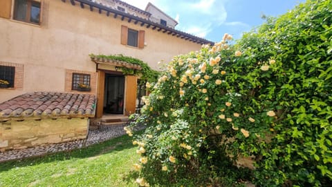 Property building, Day, Garden, Garden view