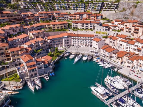 Property building, Bird's eye view, Landmark view