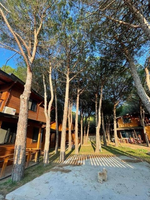 Property building, Natural landscape