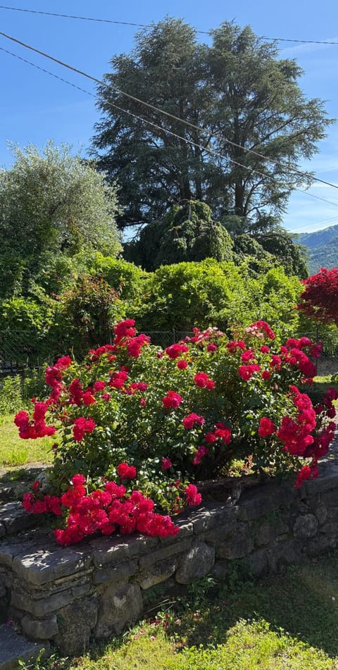 Casa Ilde Apartment in Lierna