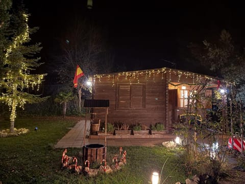 Night, Garden view