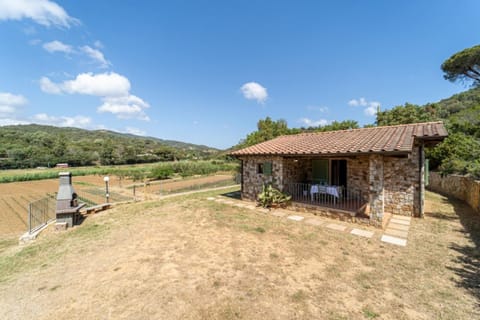 Apartments La Tenuta where the sea meets the land - Goelba House in Tuscany