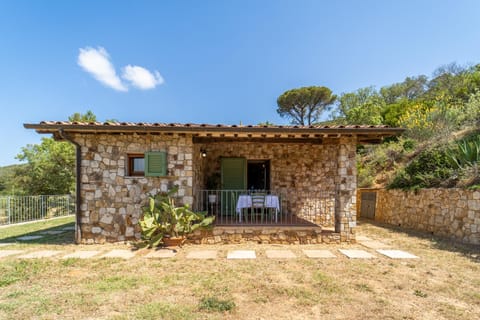 Patio, Day, Natural landscape, Garden view