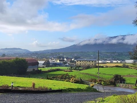 White O'Morn Cabin Cabin in Newry