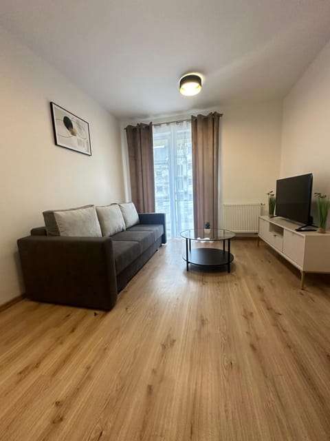 Apartament ŻELAZNY HGS Home Apartment in West Pomeranian Voivodeship, Poland