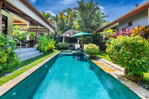 Spring, Day, Garden, Garden view, Pool view, Swimming pool