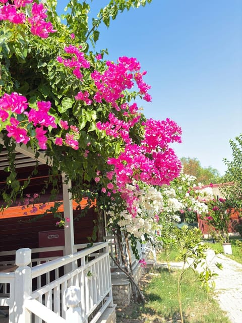 Garden view, Mountain view
