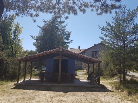 Area and facilities