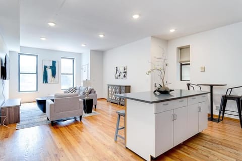 2 Suites 2 Floors in Downtown Chicago Apartment in Chicago