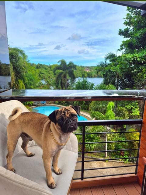 Natural landscape, View (from property/room), Balcony/Terrace, Balcony/Terrace