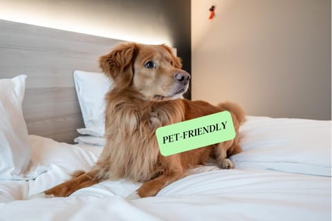 pet friendly, pet friendly