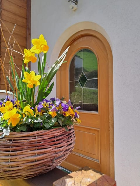 Spring, Day