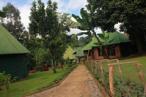 Property building, Day, Natural landscape, Garden, Garden view