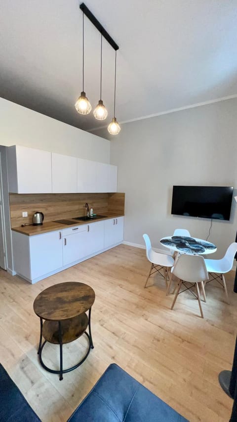 TV and multimedia, Kitchen or kitchenette, pet friendly, pet friendly, stove, kitchen, kitchen