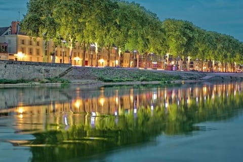 Studio 4 - Cosy Bord De Loire Apartment in Orléans
